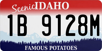 ID license plate 1B9128M