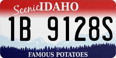 ID license plate 1B9128S
