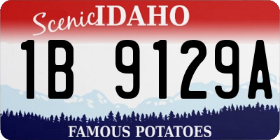 ID license plate 1B9129A
