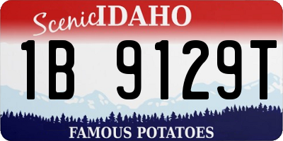 ID license plate 1B9129T