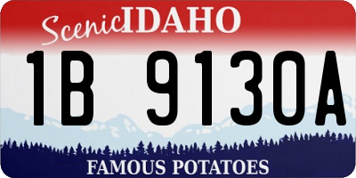 ID license plate 1B9130A