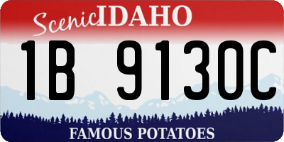 ID license plate 1B9130C