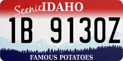 ID license plate 1B9130Z