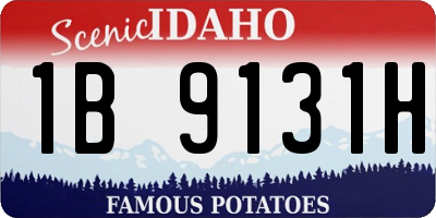 ID license plate 1B9131H