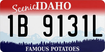 ID license plate 1B9131L