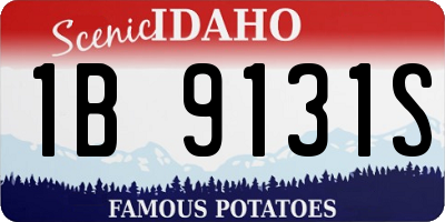 ID license plate 1B9131S