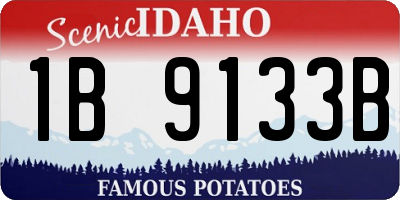 ID license plate 1B9133B