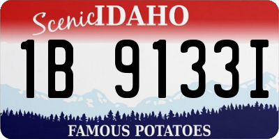 ID license plate 1B9133I