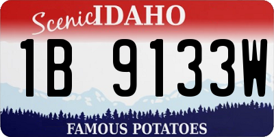 ID license plate 1B9133W