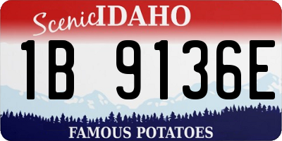 ID license plate 1B9136E