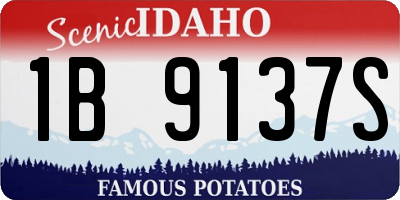ID license plate 1B9137S