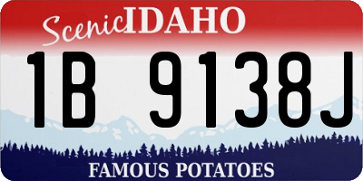 ID license plate 1B9138J