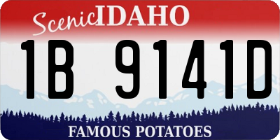 ID license plate 1B9141D