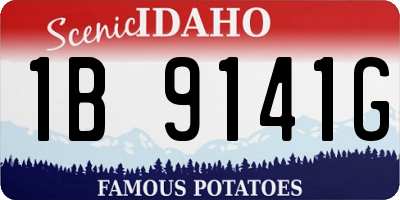 ID license plate 1B9141G