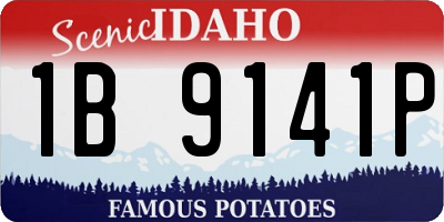 ID license plate 1B9141P