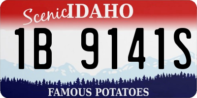 ID license plate 1B9141S