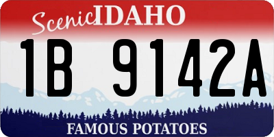 ID license plate 1B9142A