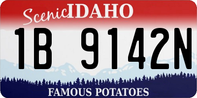 ID license plate 1B9142N