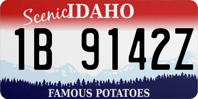 ID license plate 1B9142Z