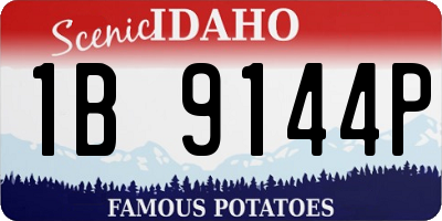ID license plate 1B9144P