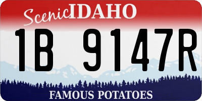 ID license plate 1B9147R