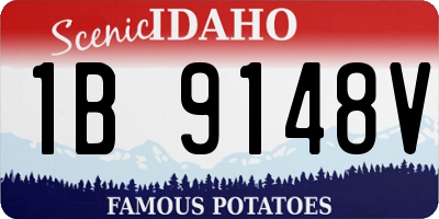 ID license plate 1B9148V