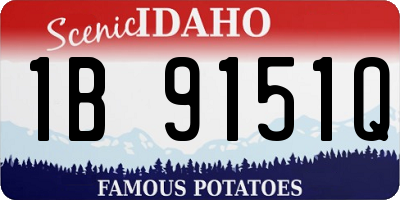 ID license plate 1B9151Q
