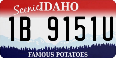 ID license plate 1B9151U