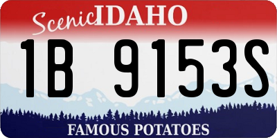 ID license plate 1B9153S