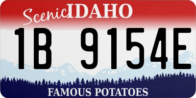 ID license plate 1B9154E