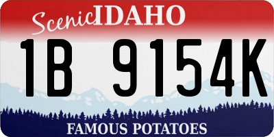 ID license plate 1B9154K