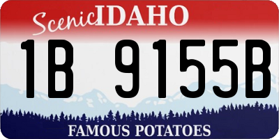 ID license plate 1B9155B