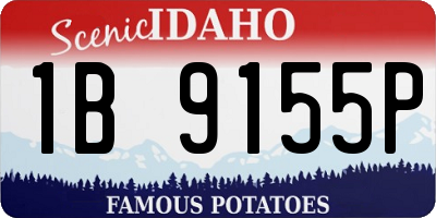 ID license plate 1B9155P