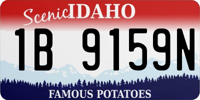 ID license plate 1B9159N
