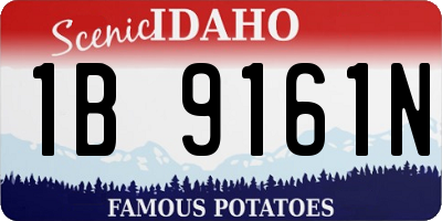 ID license plate 1B9161N