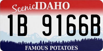 ID license plate 1B9166B