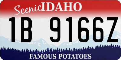 ID license plate 1B9166Z