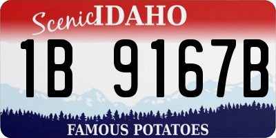ID license plate 1B9167B