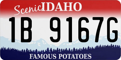 ID license plate 1B9167G