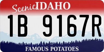 ID license plate 1B9167R