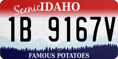 ID license plate 1B9167V