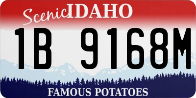 ID license plate 1B9168M