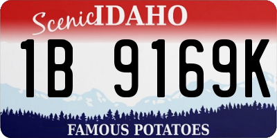 ID license plate 1B9169K