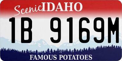 ID license plate 1B9169M