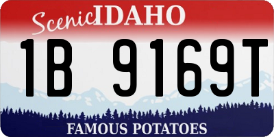 ID license plate 1B9169T