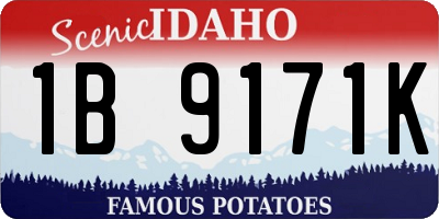 ID license plate 1B9171K