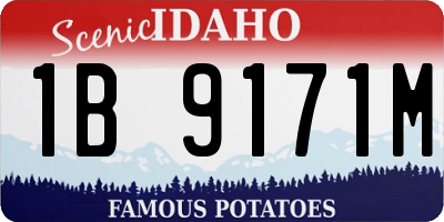 ID license plate 1B9171M