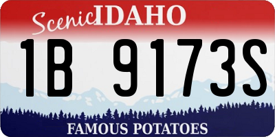 ID license plate 1B9173S