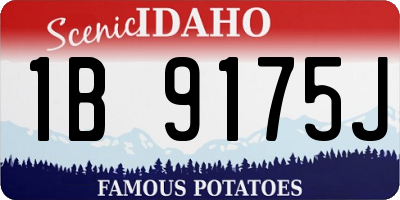 ID license plate 1B9175J