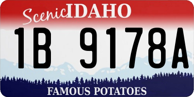 ID license plate 1B9178A